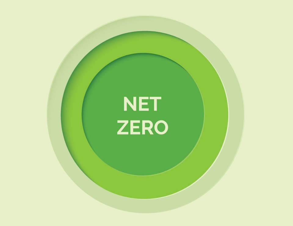 Emerald’s CVC venture services connect corporations with startups, fostering innovation and sustainability through tailored partnerships.